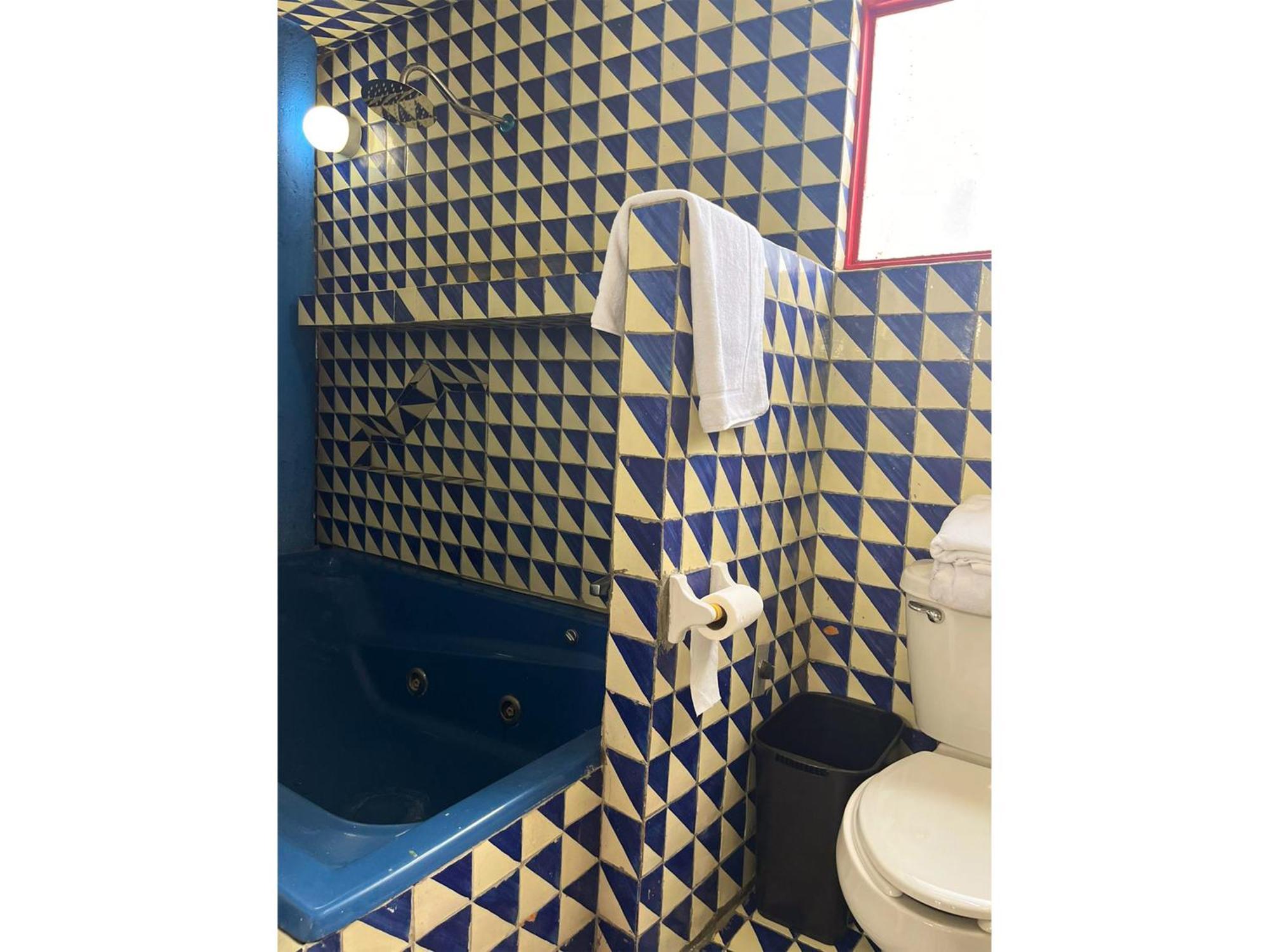 Lofts En Casa Azul Centro De Slp - Inmotega Apartment ซานหลุยส์โปโตซิ ห้อง รูปภาพ